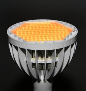 led-lamp led-lamp