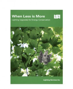 LSI-brochure