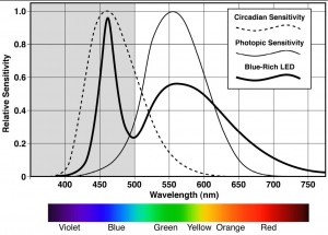 bluewhite Human visual sensitivity is primarily in the green and yellow part of the spectrum and is depicted by the thin solid line. Circadian rhythms are controlled by light emitted within the dashed curve. The color of light emitted by a typical bluish-white 5500 Kelvin LED is depicted by the bold line. A large portion of light emitted by this light source falls outside of the human photopic vision range, and falls within the circadian rhythm curve. IDA recommends limiting blue light emitted below 500 nm, as indicated by the shaded section of the graph.