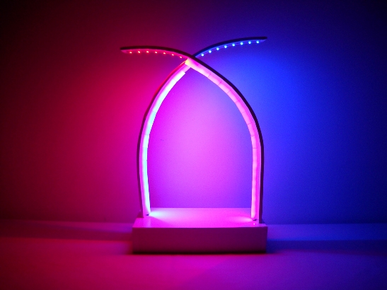 Second Place - CUSP by Suerrisa Blecher