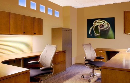 Acuity_Brands_AeraLightingSystem