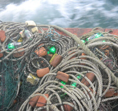LEDs Can Reduce Seabird Deaths Resulting from Fishing
