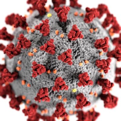 In Vitro Study Shows Filtered Far UV-C Effectively Inactivates COVID Virus
