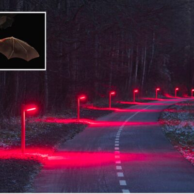 Innovative Outdoor Lighting Design Nominated For Award