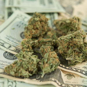 Horticultural Lighting Market To Grow As Three More States Legalize Recreational Cannabis