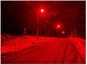 Researchers Find Red Lights Outdoors For Wildlife Protection Comes With Potential Risks