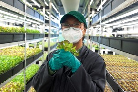 New Vertical Farming BioTech Grows Plants In The Dark
