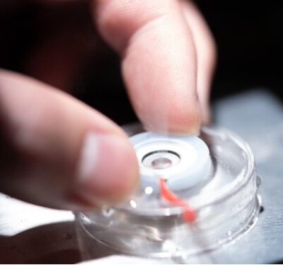 New Discovery: Visible Light Evaporates Water