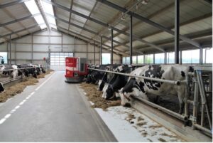 What Is Long-Day Lighting For Dairy Farms?