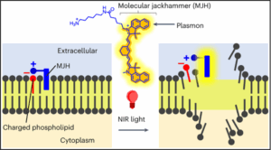 Molecular Jackhammers & Near-IR Light Kill Cancer Cells