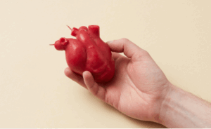 Bright Light At Night Is Bad For Your Heart