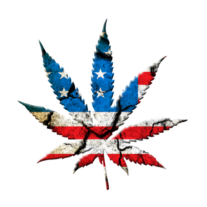 White House Reclassifies Cannabis To Schedule III Drug