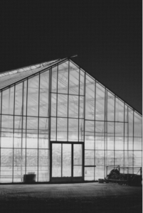 Recent Trends In Horticultural Lighting