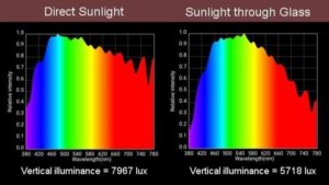 Does Sitting By A Window Provide Real Daylight Benefits?