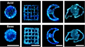 Bioluminescent Algae Creates Non-Electric Lighting