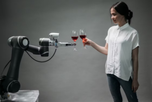 You Know Robots But What About Cobots?